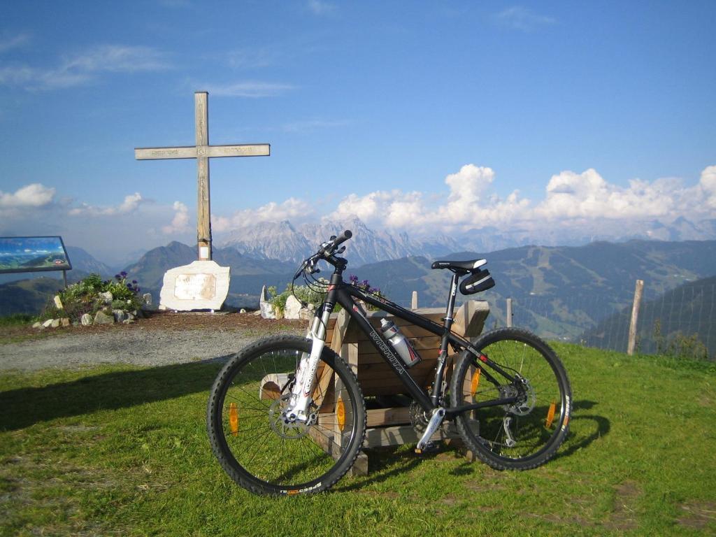 Hotel Dr. Karl Renner Hinterglemm 3*